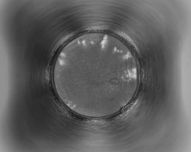 X0000095950874200802011100