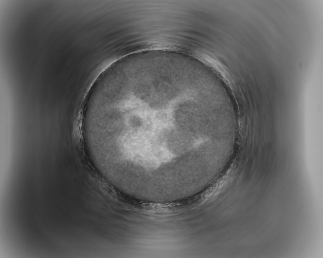 X0000095950875200802011100