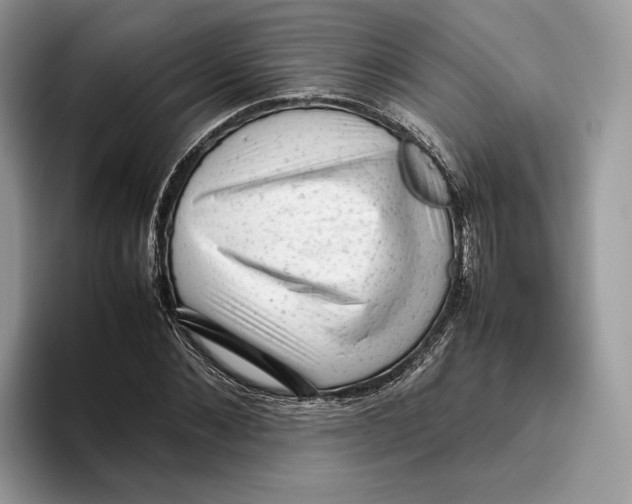 X0000095950876200802011100