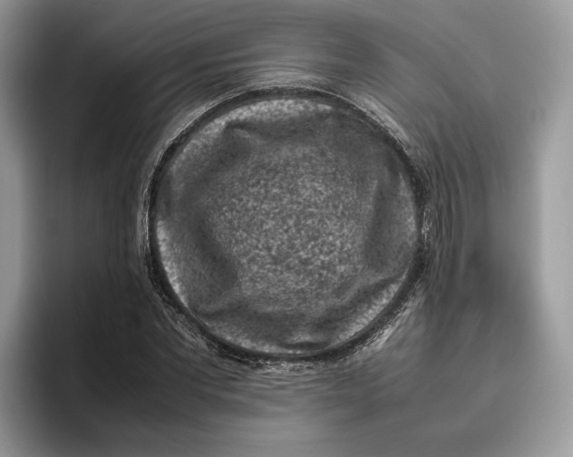 X0000095950877200802011100