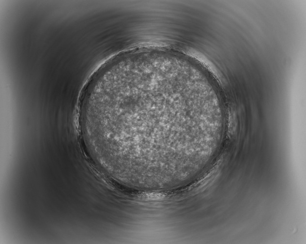 X0000095950878200802011100