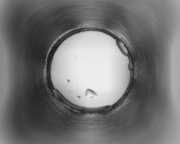 X0000095950880200802011059