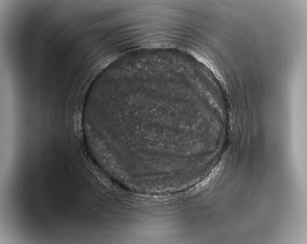 X0000095950881200802011059