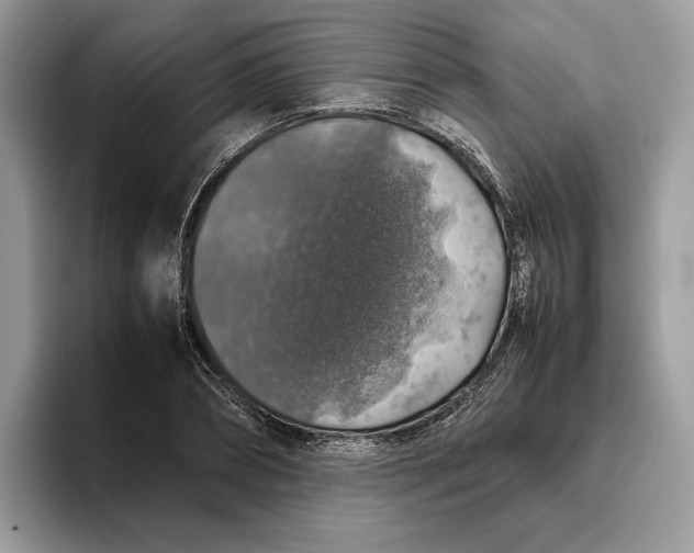 X0000095950882200802011059