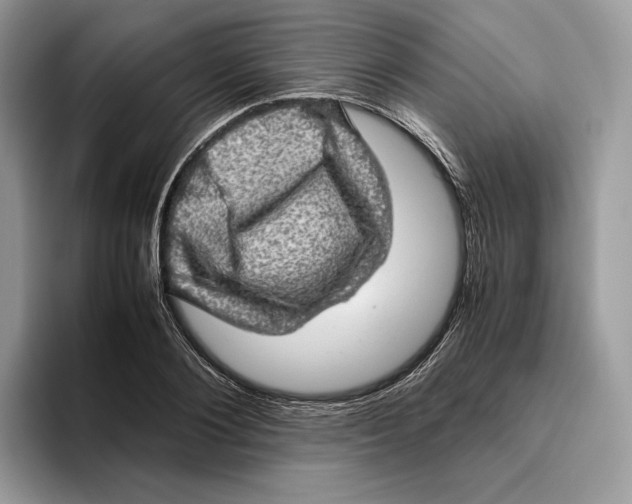 X0000095950884200802011059