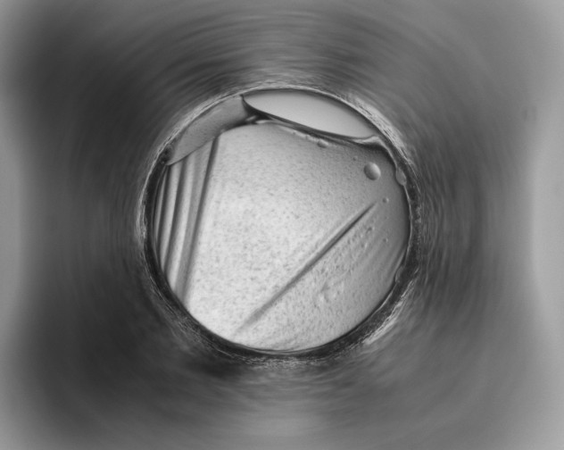 X0000095950885200802011059