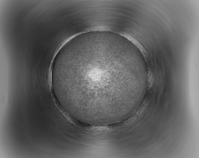 X0000095950886200802011059