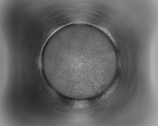 X0000095950887200802011059