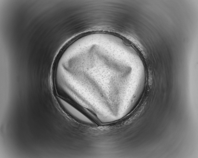 X0000095950888200802011059