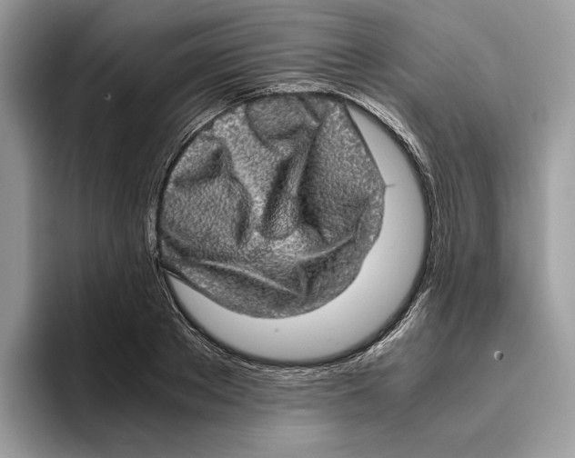 X0000095950889200802011059