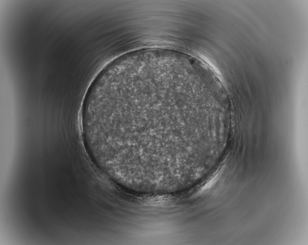 X0000095950891200802011059