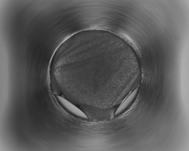 X0000095950892200802011059