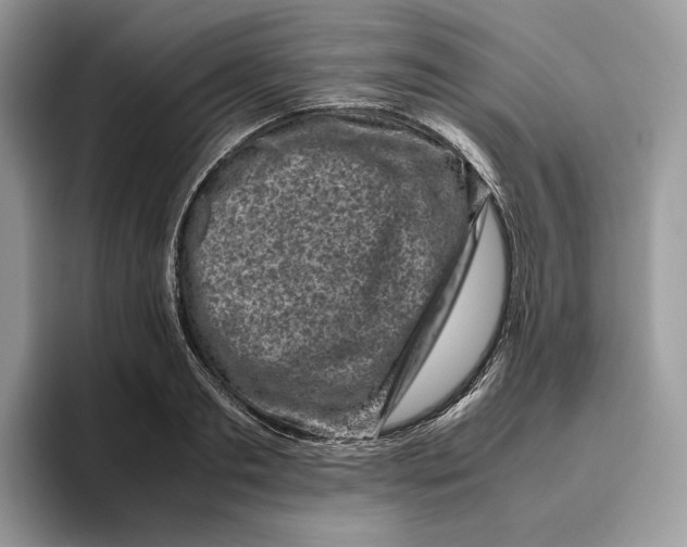 X0000095950893200802011059