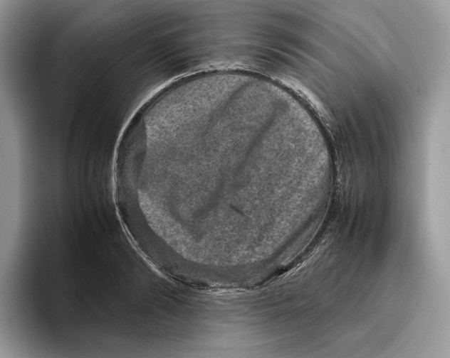 X0000095950894200802011059