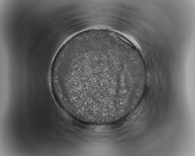 X0000095950895200802011059