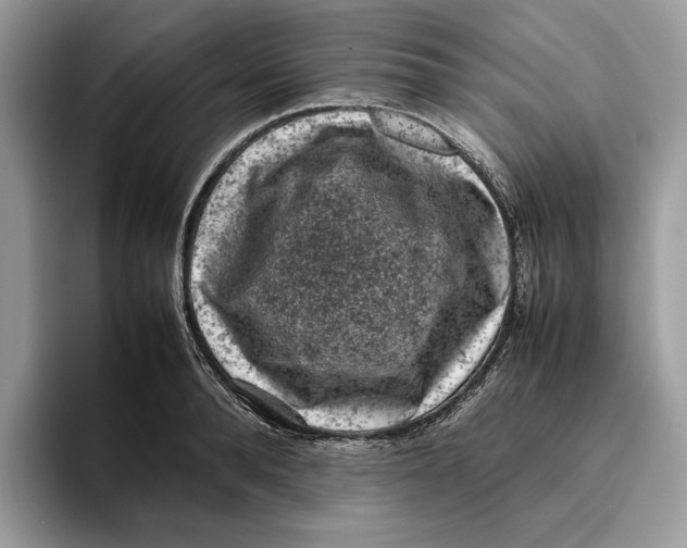 X0000095950896200802011059