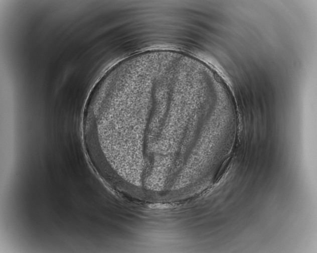 X0000095950898200802011059