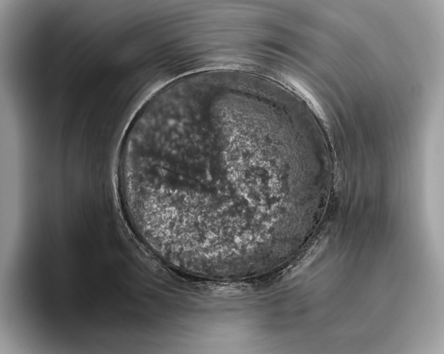 X0000095950899200802011059