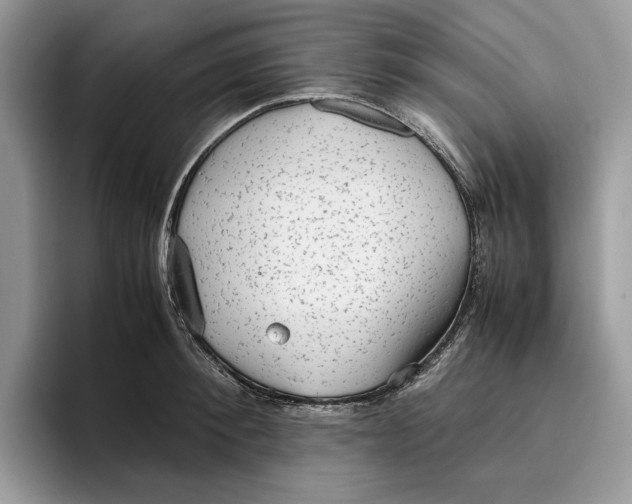 X0000095950900200802011059