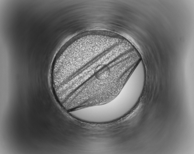 X0000095950901200802011059