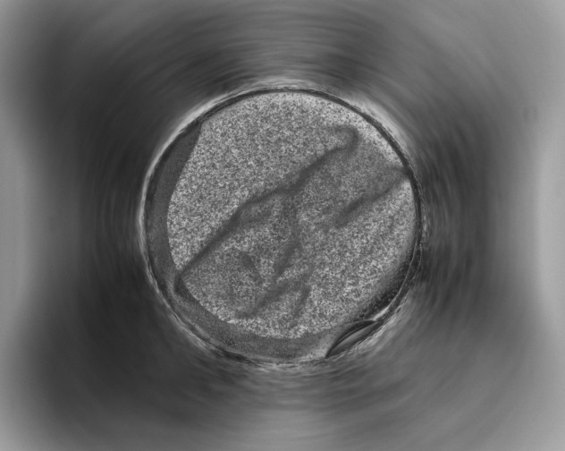 X0000095950902200802011059