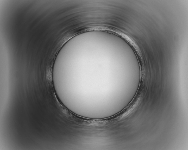 X0000095950905200802011059