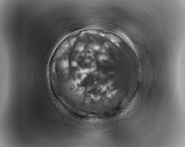 X0000095950907200802011059