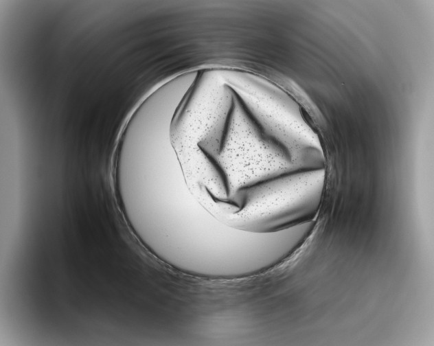 X0000095950908200802011059