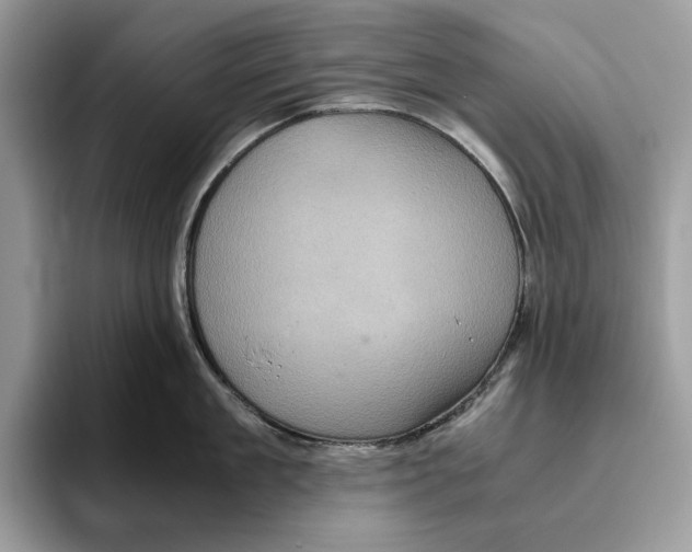 X0000095950909200802011059