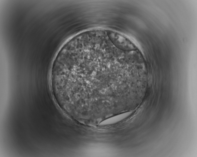 X0000095950911200802011059