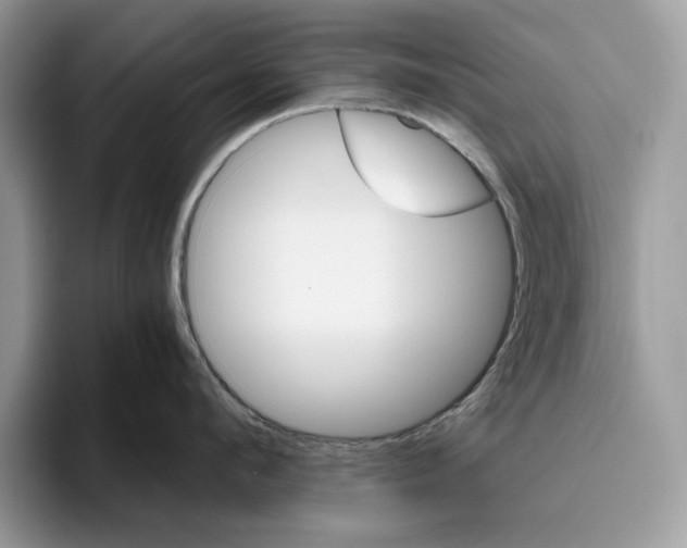 X0000095950912200802011059