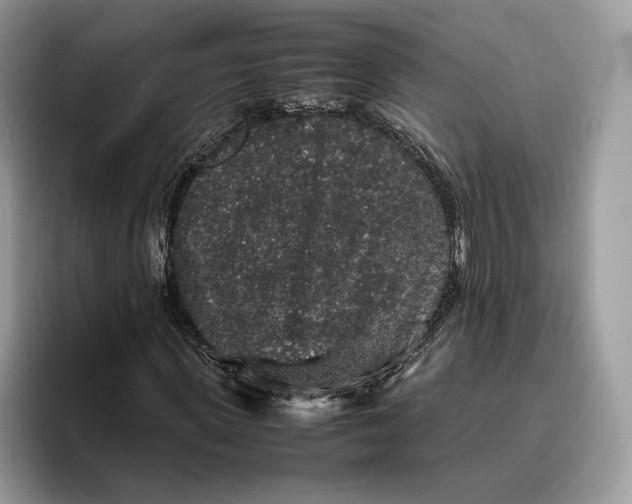 X0000095950915200802011058