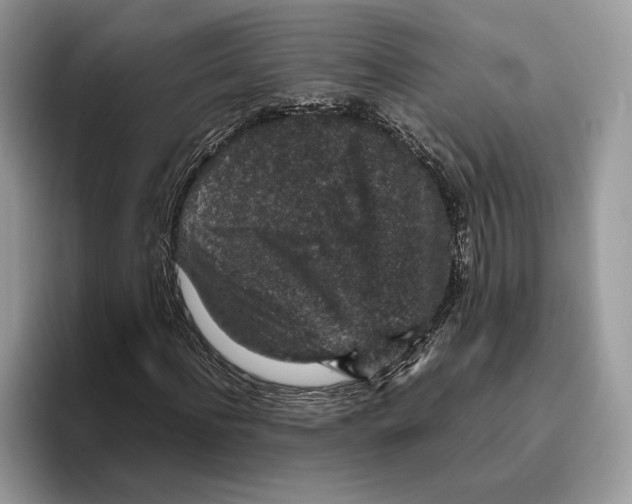 X0000095950916200802011058