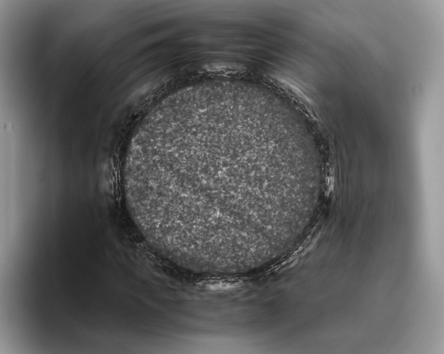 X0000095950917200802011059