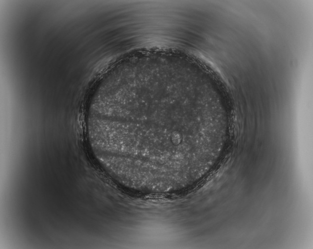 X0000095950918200802011059