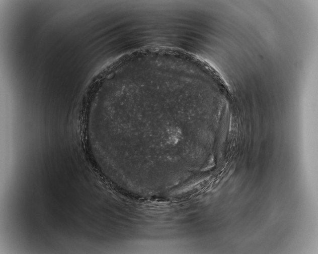 X0000095950919200802011059