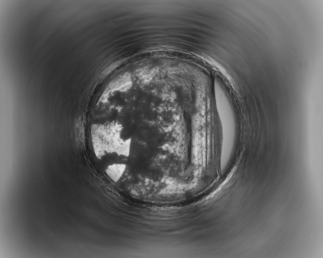 X0000095950921200802011059