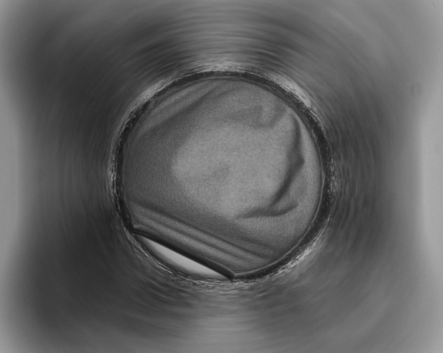 X0000095950922200802011059