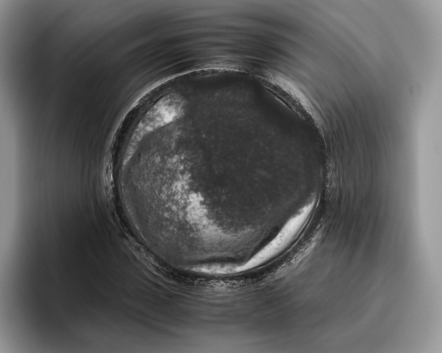 X0000095950923200802011059