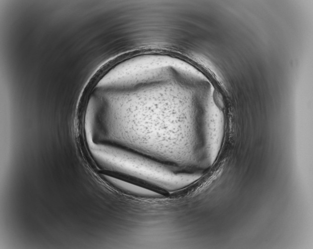 X0000095950924200802011059