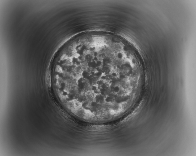 X0000095950925200802011059