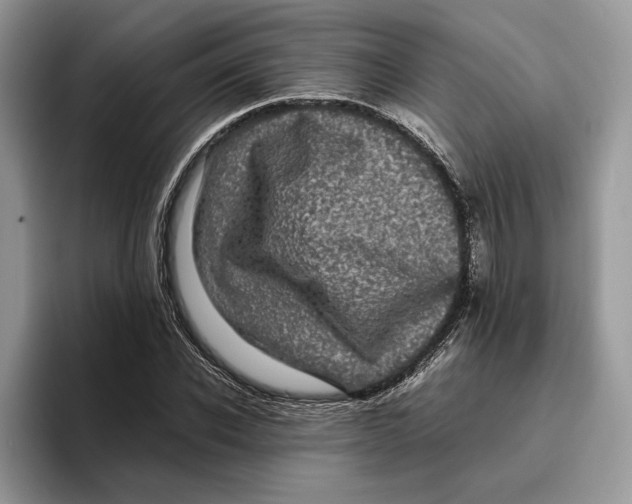 X0000095950926200802011059