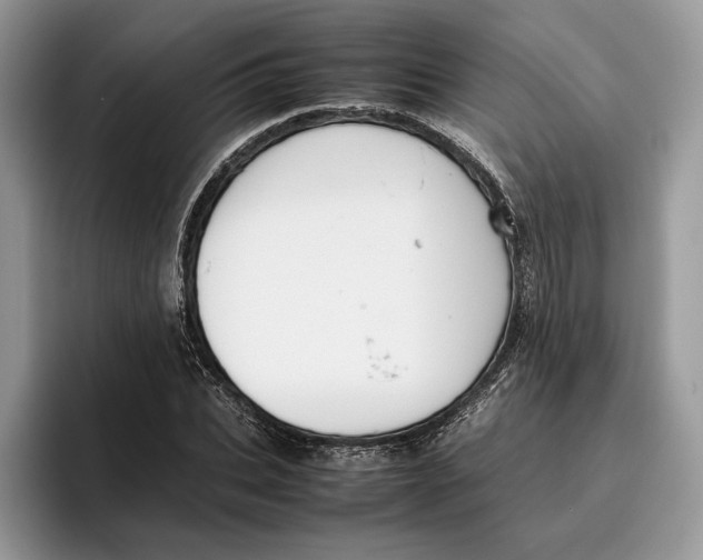 X0000095950927200802011059