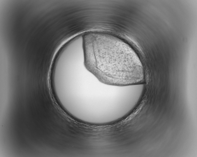 X0000095950928200802011059