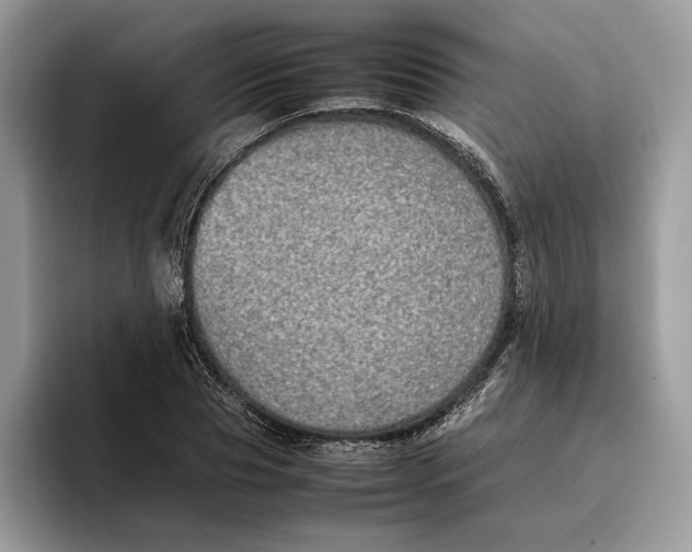 X0000095950929200802011059