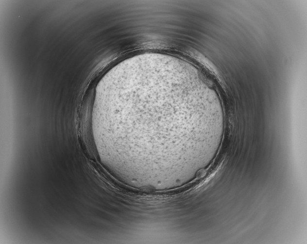 X0000095950930200802011059