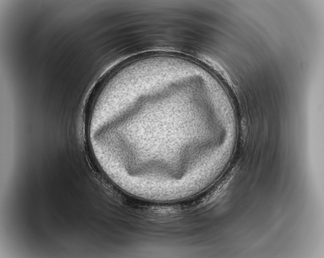 X0000095950931200802011059