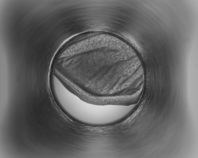 X0000095950932200802011059