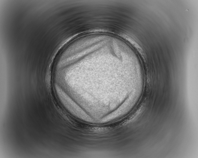 X0000095950933200802011059