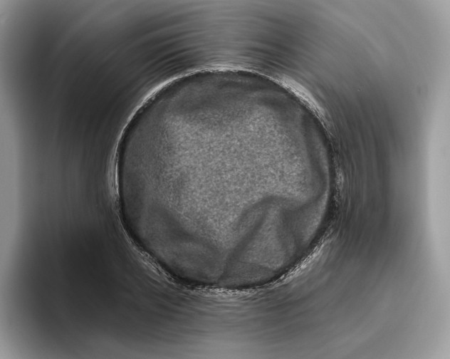 X0000095950934200802011059